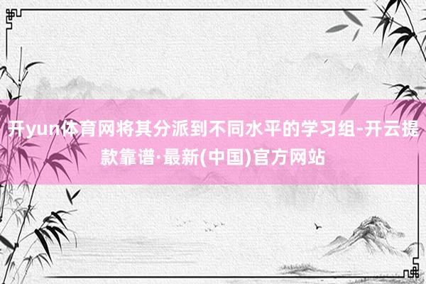 开yun体育网将其分派到不同水平的学习组-开云提款靠谱·最新(中国)官方网站