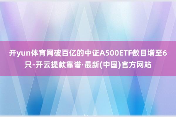 开yun体育网破百亿的中证A500ETF数目增至6只-开云提款靠谱·最新(中国)官方网站